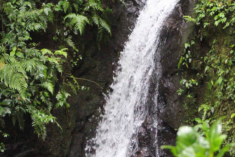 San Luis Waterfall image