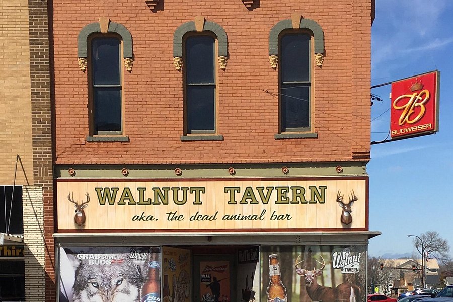 Walnut Tavern AKA The Dead Animal Bar image