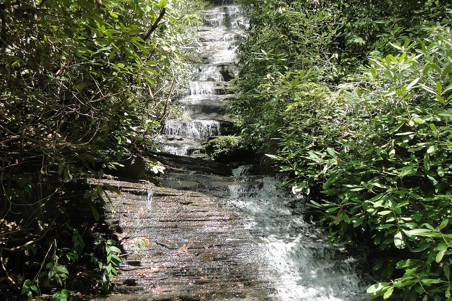 Angel Falls Trail image