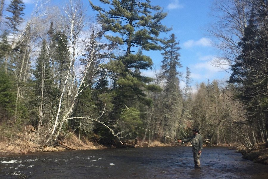 Brule River State Forest image