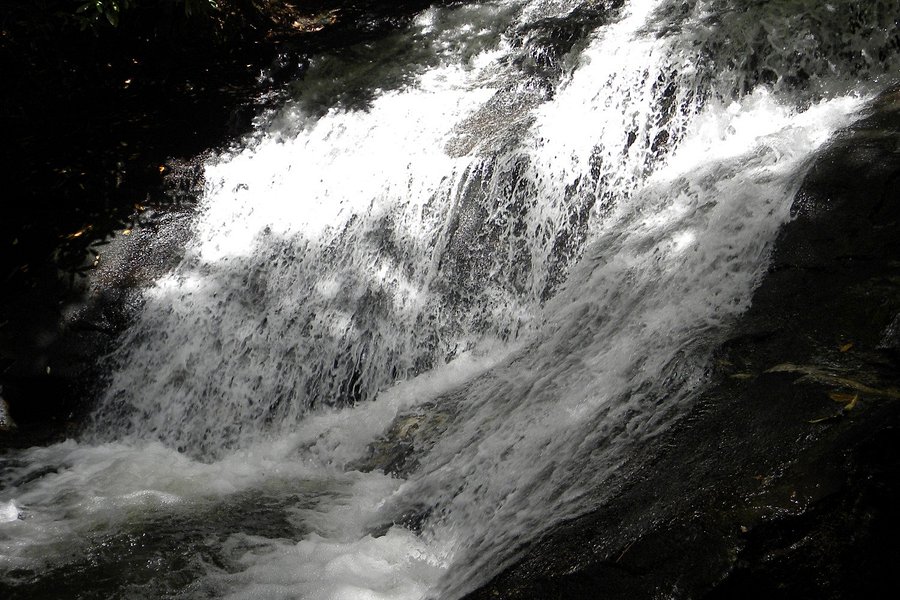 Sea Creek Falls image