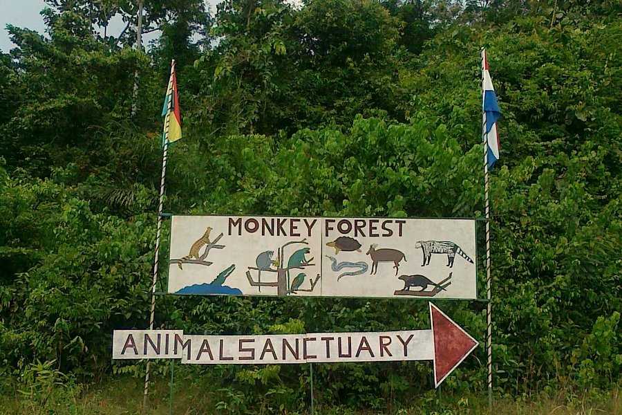 Monkey Forest Resort image