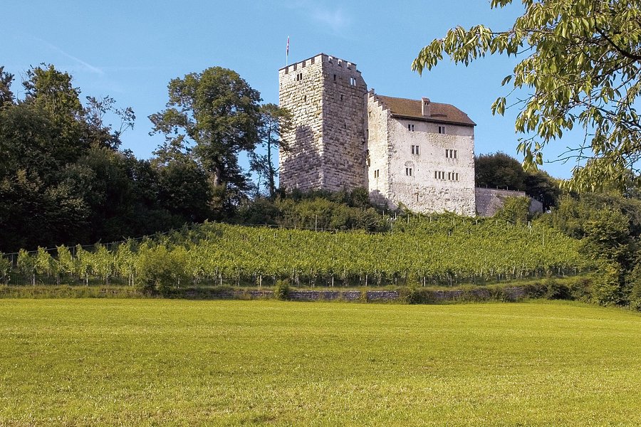 Schloss Habsburg image