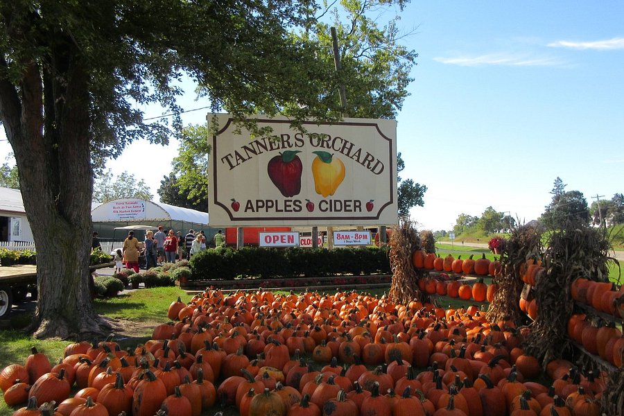 Tanners Orchard image