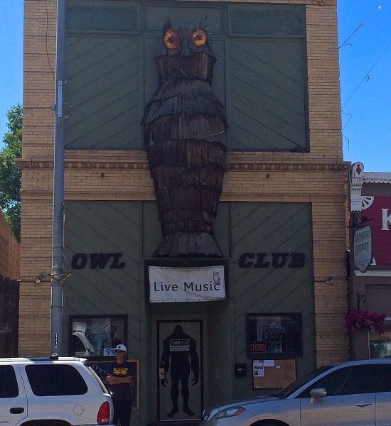 The Owl Club image
