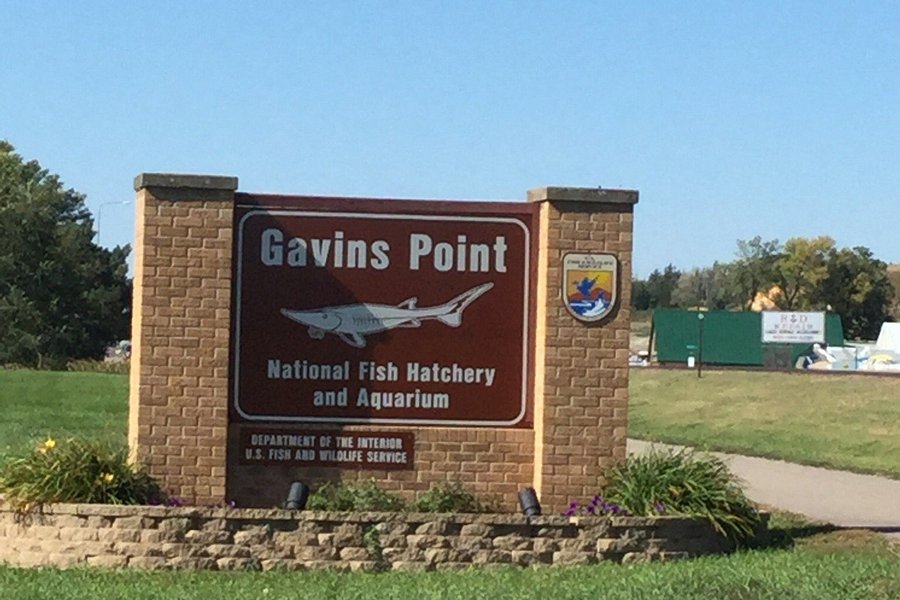 Gavin's Point National Fish Hatchery image