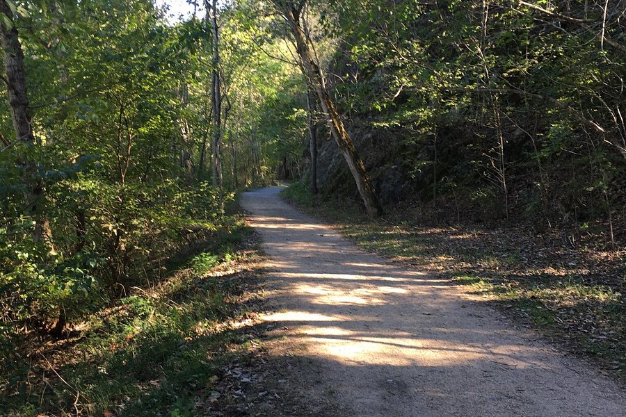 Chessie Nature Trail image