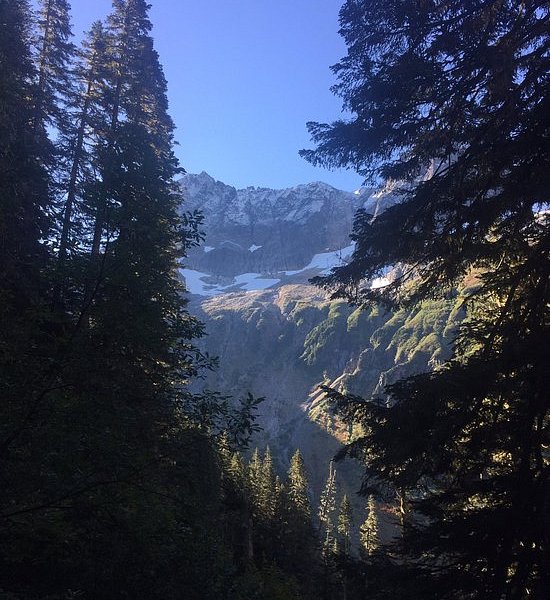 Cascade Pass / Sahale Arm Trail image