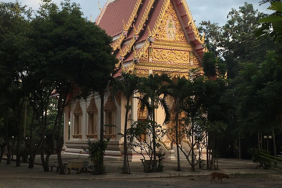Prasat Mueang Thi image