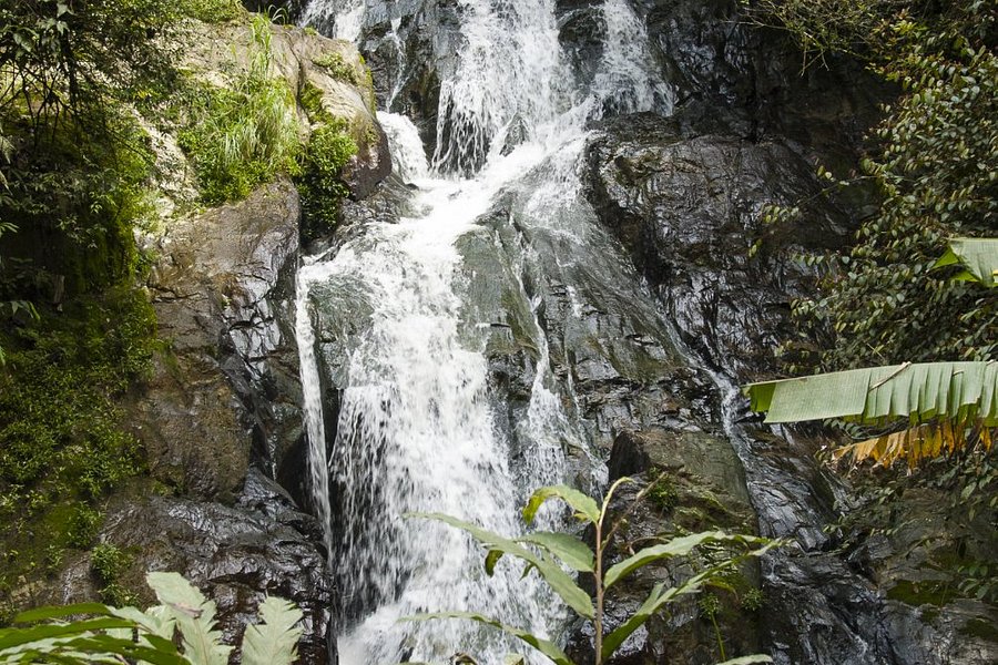 Robinson Falls image