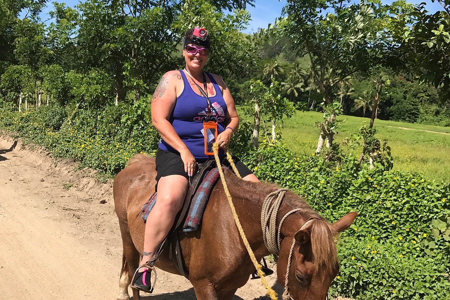 Maui Bay Horse Riding Adventure image