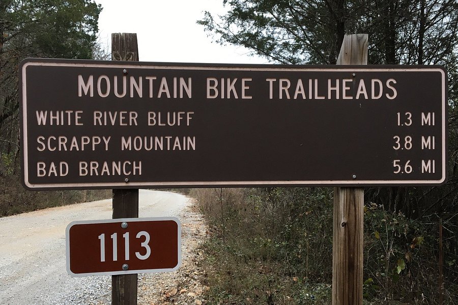Syllamo Mountain Bike Trail image