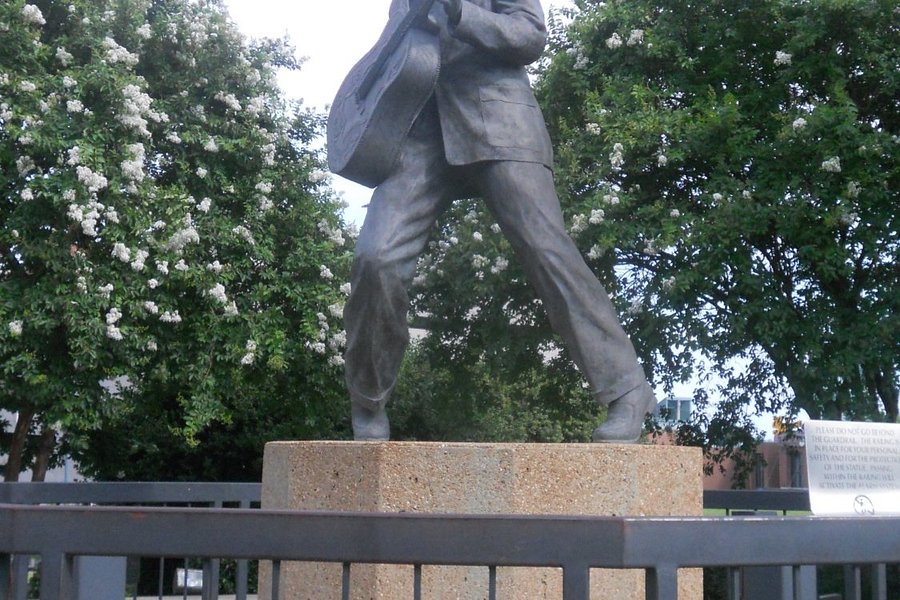 Statue of Elvis image