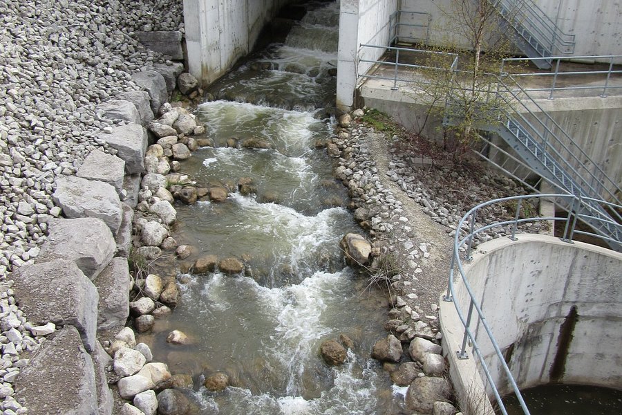 The Fishway image