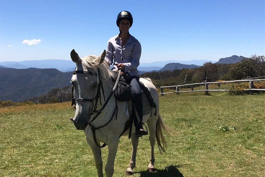 High Country Horses - Day Tours image