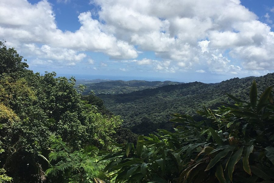 El Yunque National Forest image