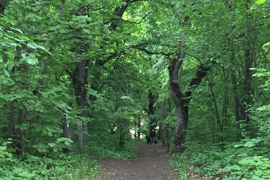 Rakvere Oak Grove Hiking Trail image