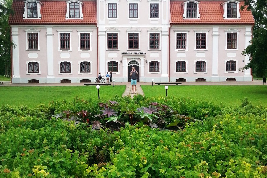Dzelzava Manor image