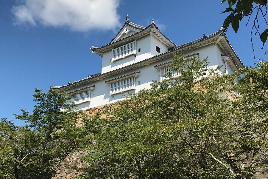 Tsuyama Castle (Kakuzan Park) image