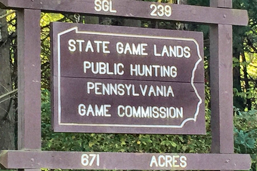 State Game Lands #239 image