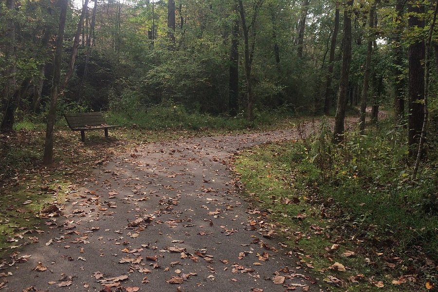 Emory Valley Greenway image