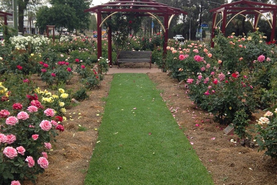 Cowra Rose Garden image