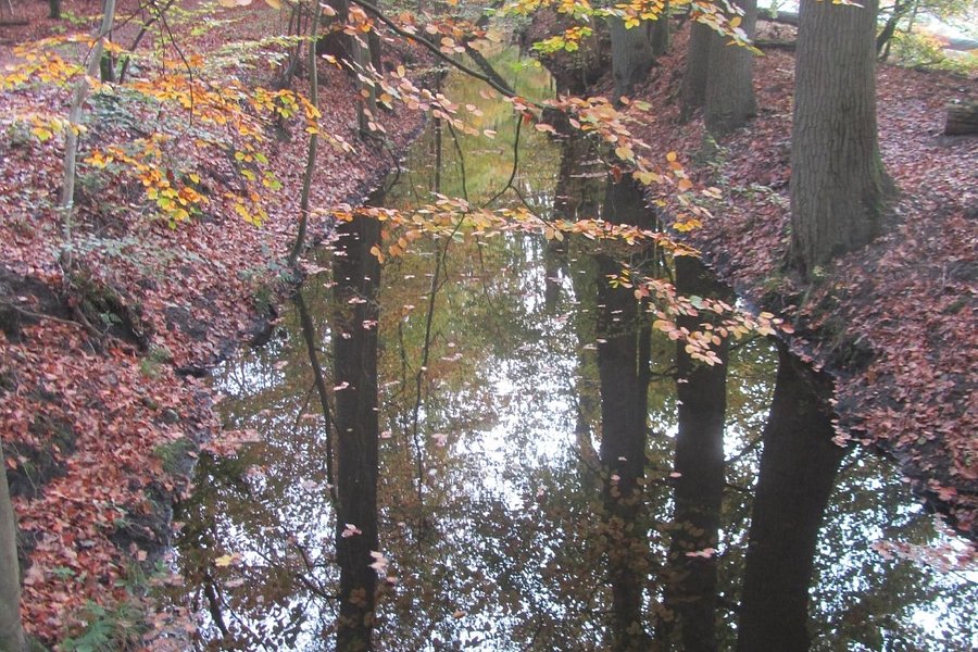 Leuvenumse bossen image