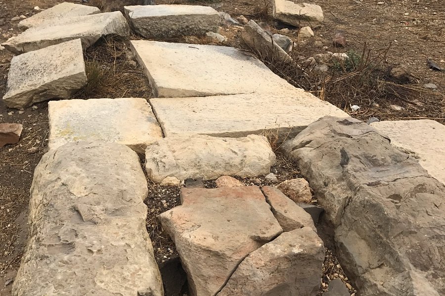 Tel Lachish image