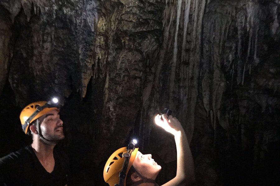 Phong Nha Caves Tour Center image