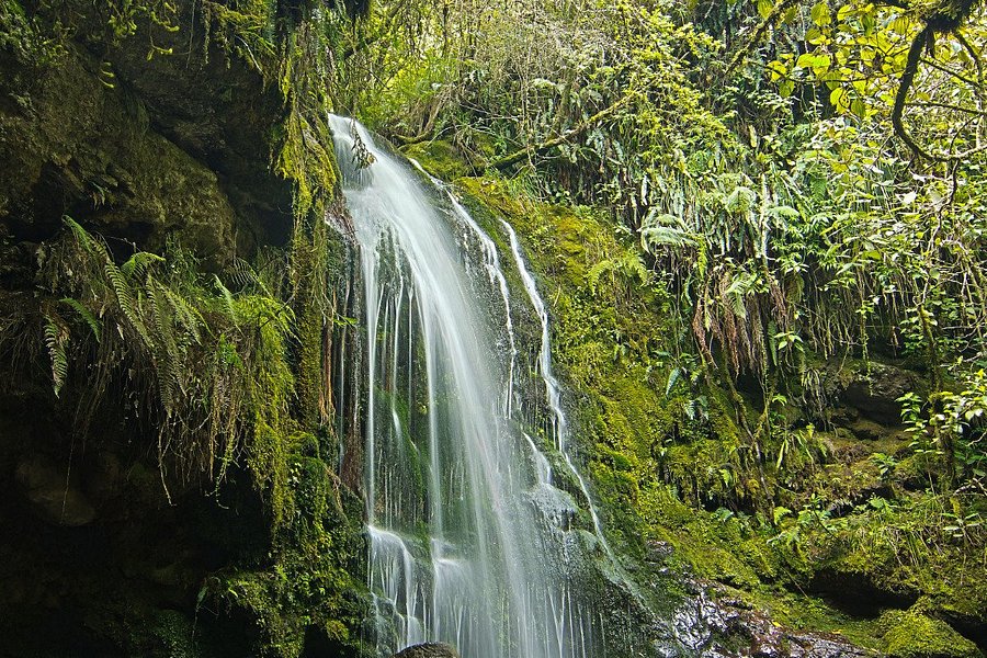 Waterfall of Cariacu image