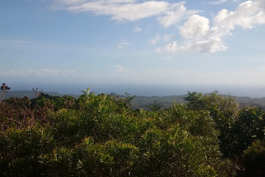 Mt. Bandilaan National Park image