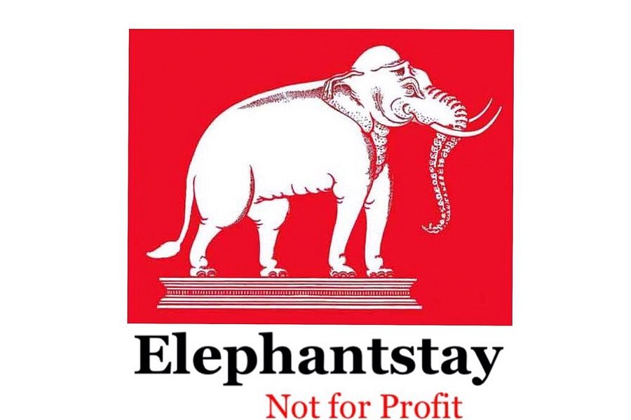 Elephantstay image