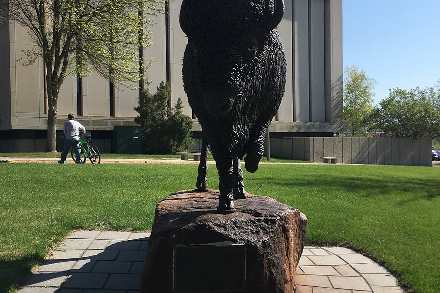 Buffalo Statue image