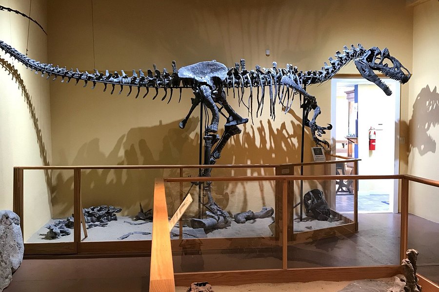 Paleon Museum in Glenrock image