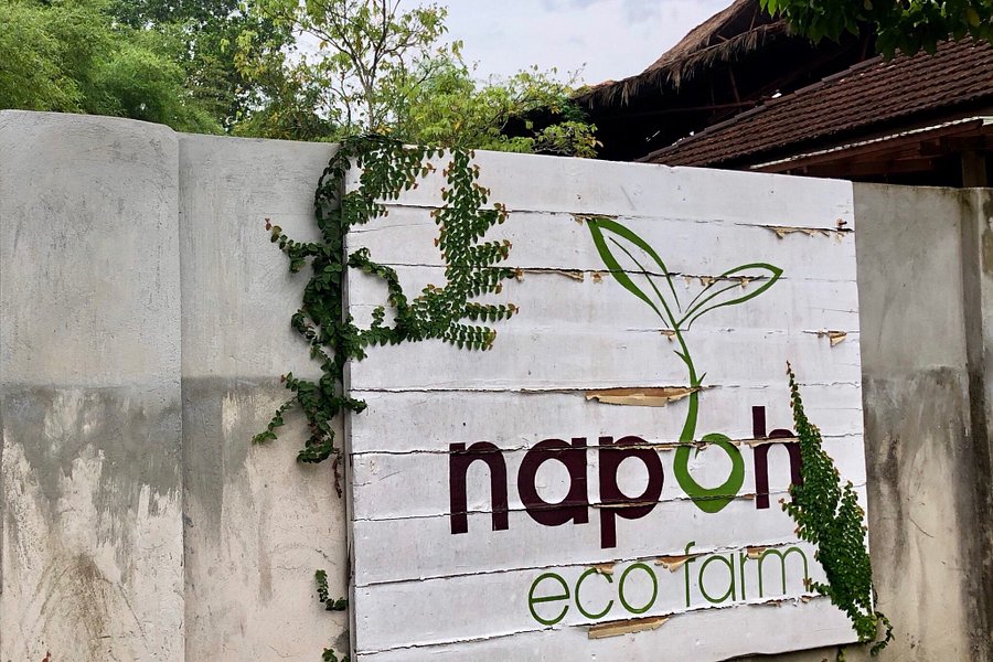 Napoh Eco Farm image