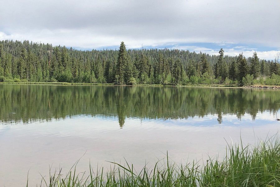 Duck Creek Pond image