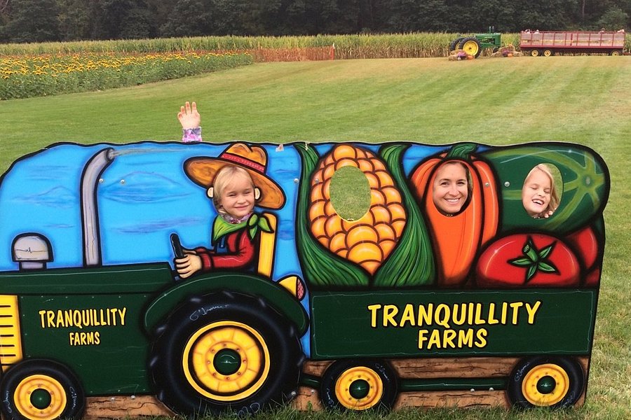 Tranquilty Farms image