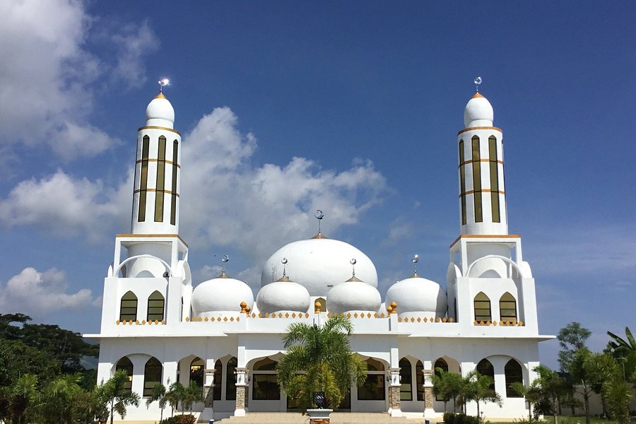 Masjid Al-Nasser Abpi - White Mosque image