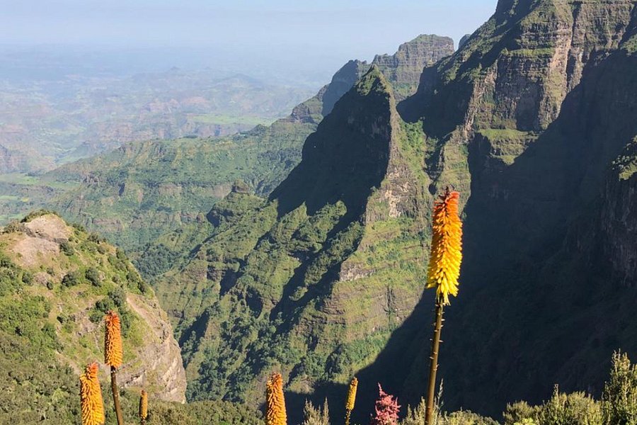 Simien Mountain Guides image