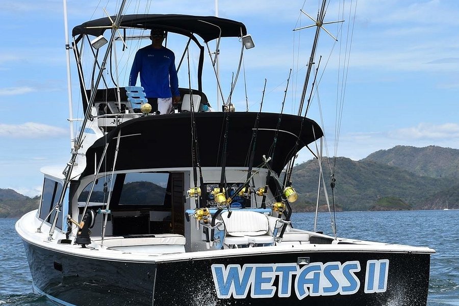 Wetass II Sportfishing image