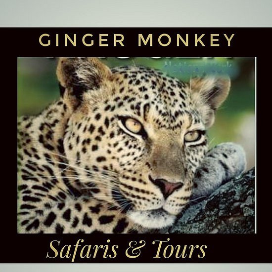 Ginger Monkey Safaris and Tours image