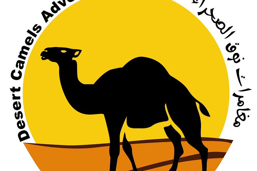 Desert Camels Adventure Tours image