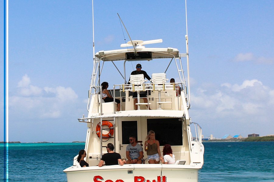 Sea Bull Aruba Charters image