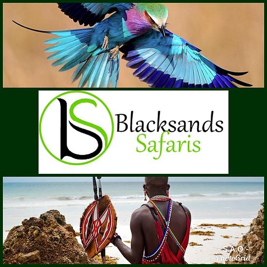 Blacksands Safaris Tour & Travel image