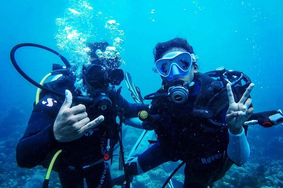 Tamarin OceanPro Divingcenter image