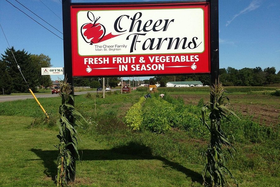 Cheer Farms image