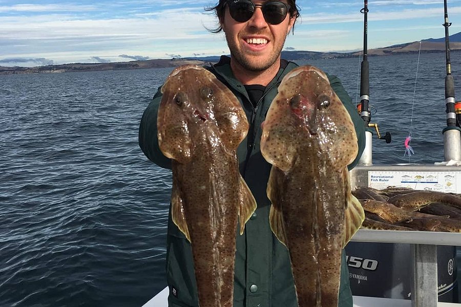 Mr Flathead Fishing Charters Tasmania image