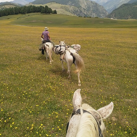 Shetidze Tushetian Horses - Reiten in Vashlovani and Tusheti image