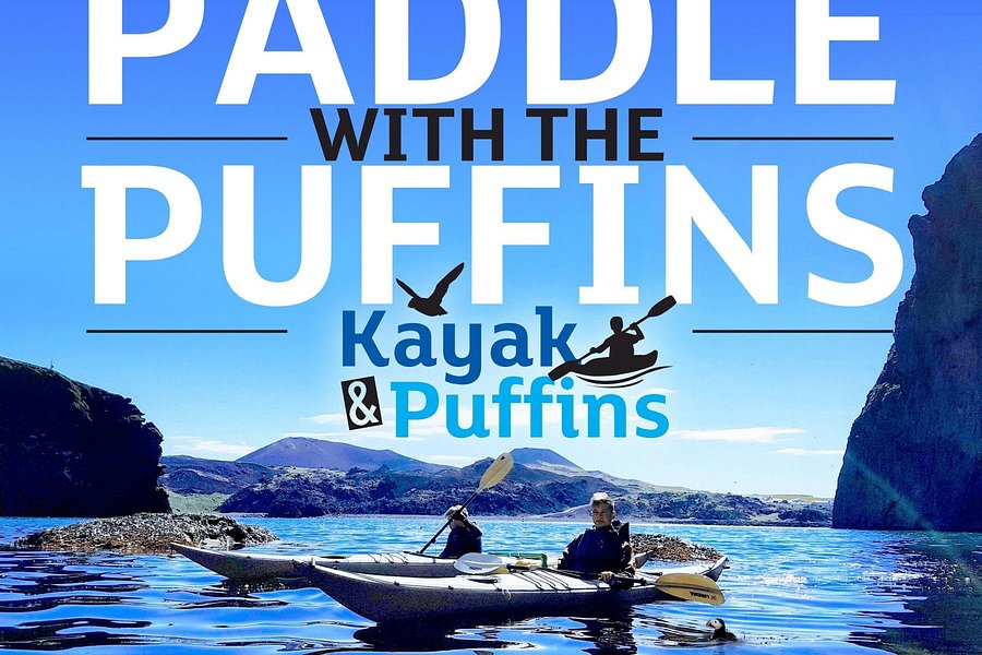 Kayak and Puffins image
