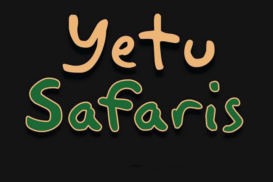 Yetu Safaris image